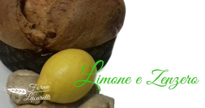 panettone-limone-zenzero